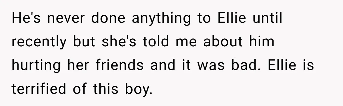 He's never done anything to Ellie until recently but she's told me about him hurting her friends and it was bad. Ellie is terrified of this boy.