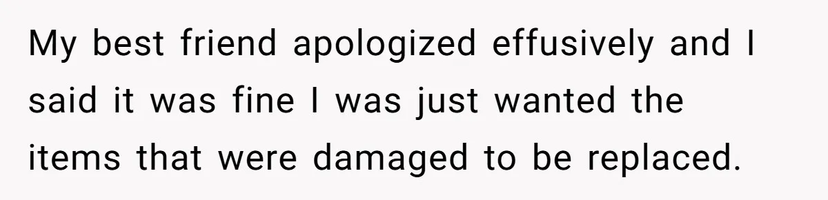 My best friend apologized effusively and I said it was fine I was just wanted the items that were damaged to be replaced.