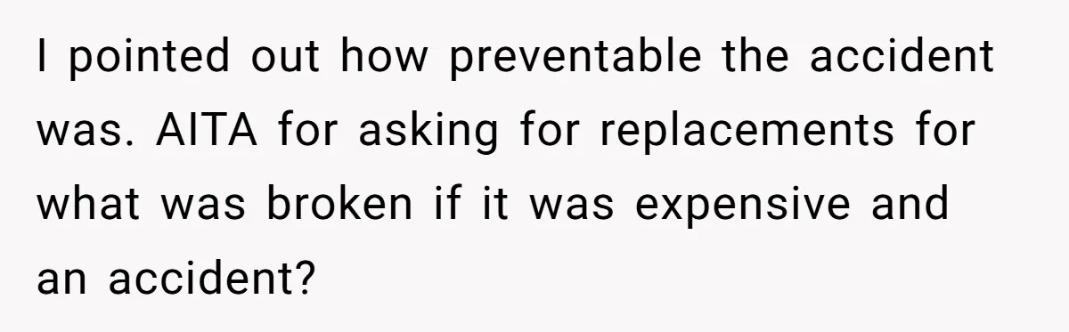 I pointed out how preventable the accident was. AITA for asking for replacements for what was broken if it was expensive and an accident?