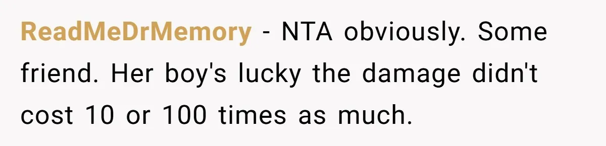 ReadMeDrMemory − NTA obviously. Some friend. Her boy's lucky the damage didn't cost 10 or 100 times as much.