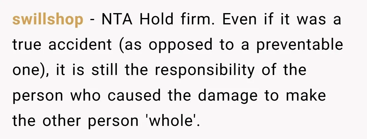 swillshop − NTA Hold firm. Even if it was a true accident (as opposed to a preventable one), it is still the responsibility of the person who caused the damage...