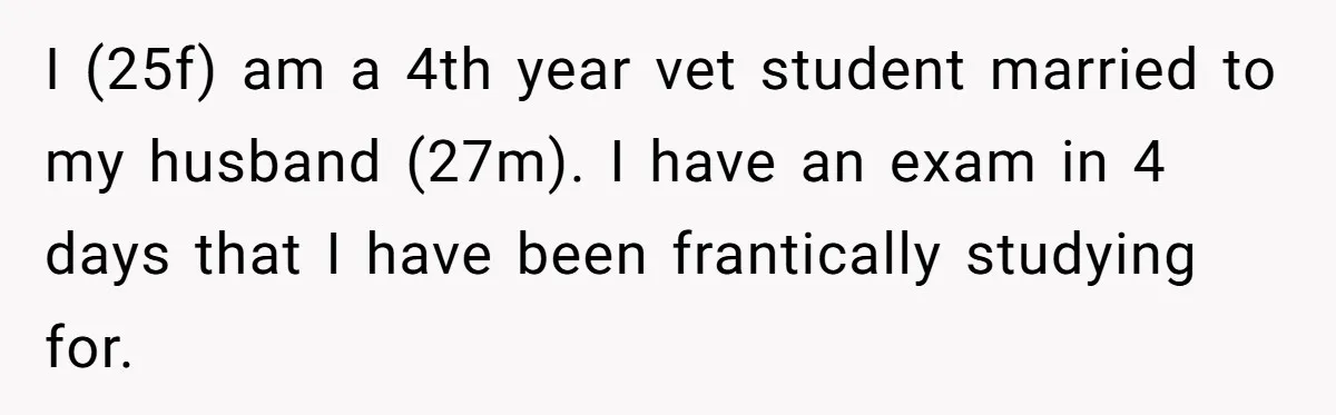 I (25f) am a 4th year vet student married to my husband (27m). I have an exam in 4 days that I have been frantically studying for.