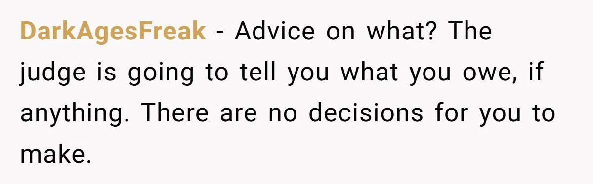 DarkAgesFreak − Advice on what? The judge is going to tell you what you owe, if anything. There are no decisions for you to make.