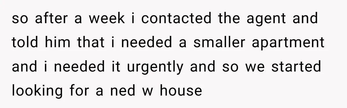 so after a week i contacted the agent and told him that i needed a smaller apartment and i needed it urgently and so we started looking for a ned...