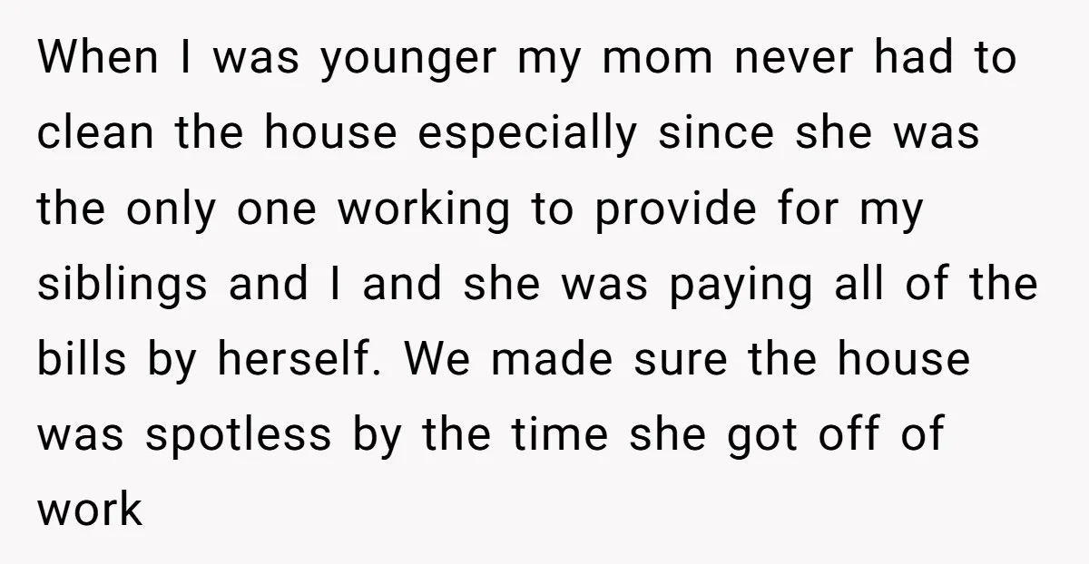 When I was younger my mom never had to clean the house especially since she was the only one working to provide for my siblings and I and she was...