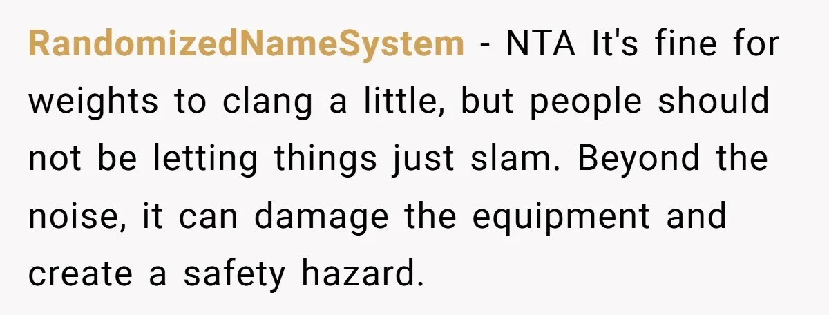 RandomizedNameSystem - NTA It's fine for weights to clang a little, but people should not be letting things just slam. Beyond the noise, it can damage the equipment and create...