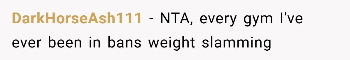 DarkHorseAsh111 - NTA, every gym I've ever been in bans weight slamming