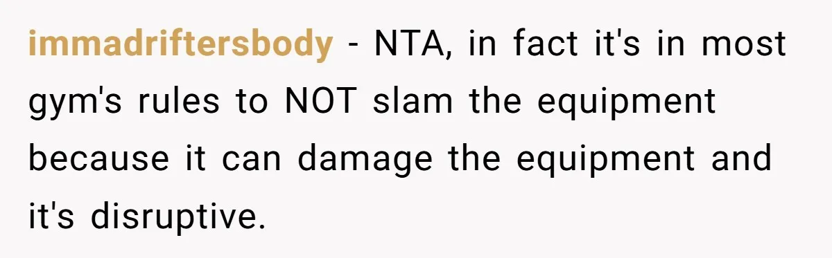 immadriftersbody - NTA, in fact it's in most gym's rules to NOT slam the equipment because it can damage the equipment and it's disruptive.