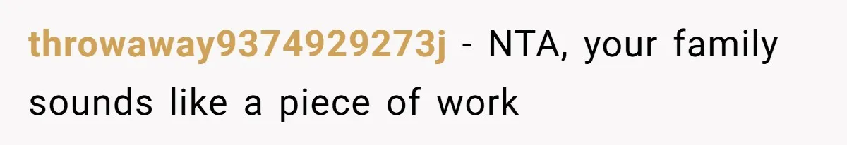 throwaway9374929273j − NTA, your family sounds like a piece of work