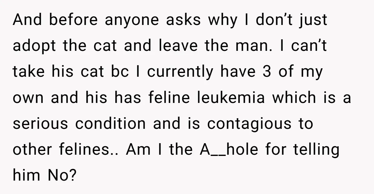 And before anyone asks why I don’t just adopt the cat and leave the man. I can’t take his cat bc I currently have 3 of my own and his...