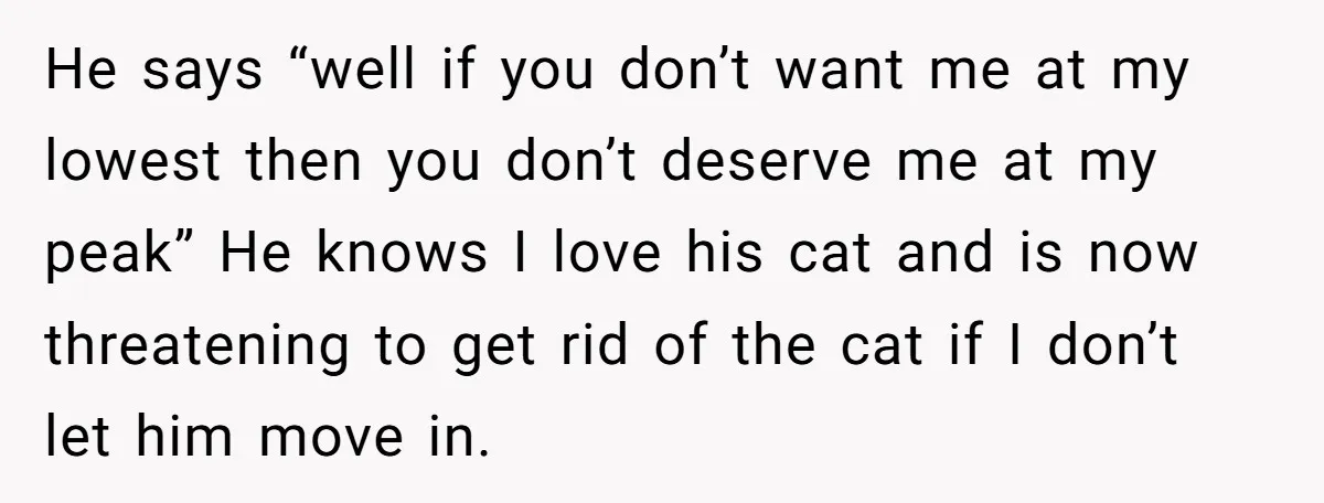 He says “well if you don’t want me at my lowest then you don’t deserve me at my peak” He knows I love his cat and is now threatening to...