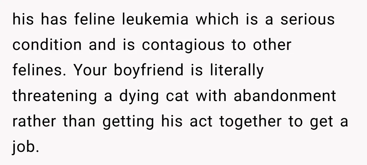 his has feline leukemia which is a serious condition and is contagious to other felines. Your boyfriend is literally threatening a dying cat with abandonment rather than getting his act...