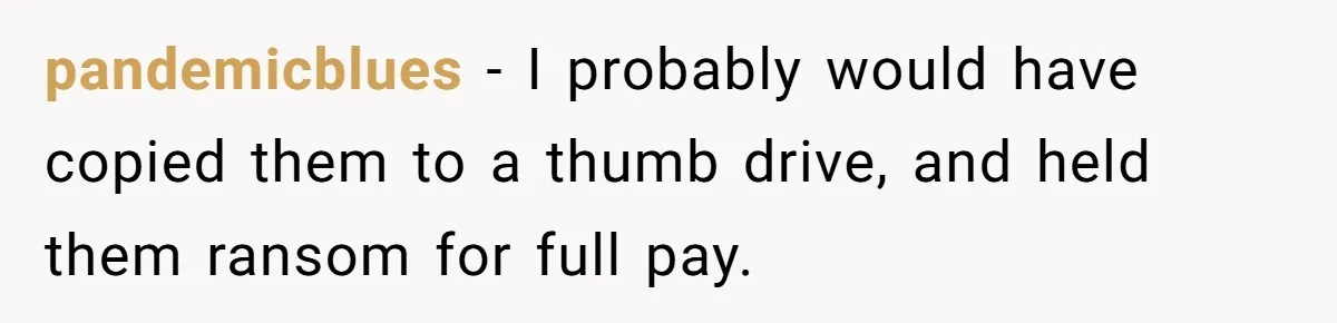 pandemicblues − I probably would have copied them to a thumb drive, and held them ransom for full pay.