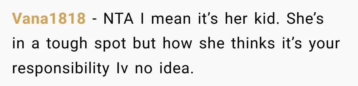 Vana1818 − NTA I mean it’s her kid. She’s in a tough spot but how she thinks it’s your responsibility Iv no idea.