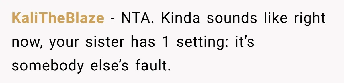 KaliTheBlaze − NTA. Kinda sounds like right now, your sister has 1 setting: it’s somebody else’s fault.