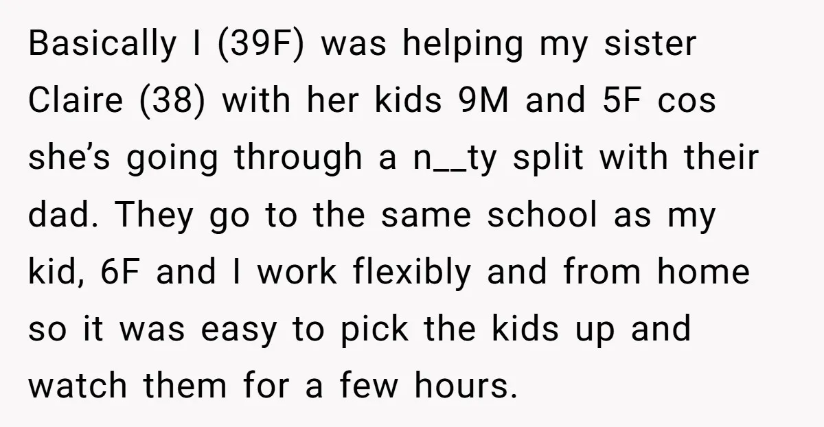 Basically I (39F) was helping my sister Claire (38) with her kids 9M and 5F cos she’s going through a n__ty split with their dad. They go to the same...