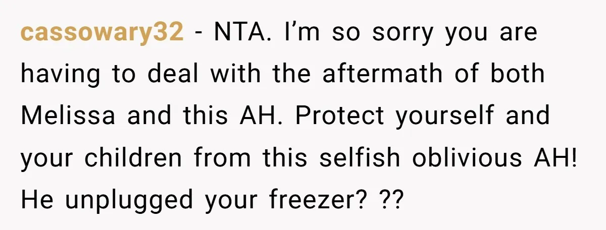 cassowary32 − NTA. I’m so sorry you are having to deal with the aftermath of both Melissa and this AH. Protect yourself and your children from this selfish oblivious AH!...