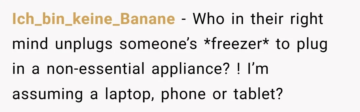 Ich_bin_keine_Banane − Who in their right mind unplugs someone’s *freezer* to plug in a non-essential appliance? ! I’m assuming a laptop, phone or tablet?