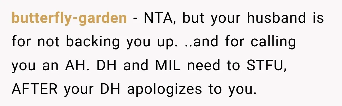 butterfly-garden − NTA, but your husband is for not backing you up. ..and for calling you an AH. DH and MIL need to STFU, AFTER your DH apologizes to you.