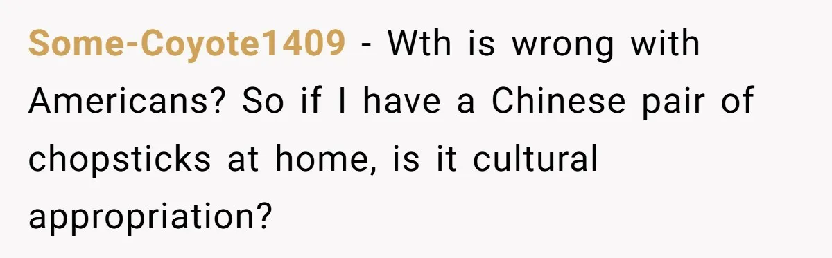 Some-Coyote1409 − Wth is wrong with Americans? So if I have a Chinese pair of chopsticks at home, is it cultural appropriation?