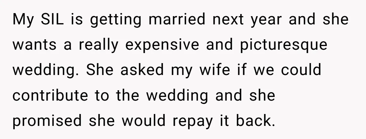 My SIL is getting married next year and she wants a really expensive and picturesque wedding. She asked my wife if we could contribute to the wedding and she promised...