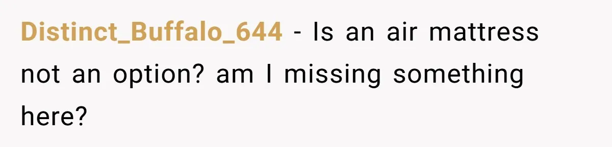 Distinct_Buffalo_644 − Is an air mattress not an option? am I missing something here?