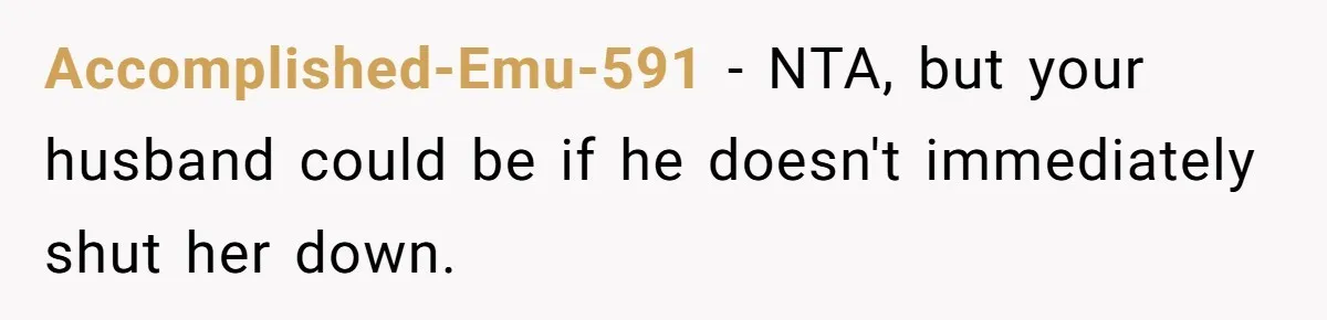 Accomplished-Emu-591 − NTA, but your husband could be if he doesn't immediately shut her down.