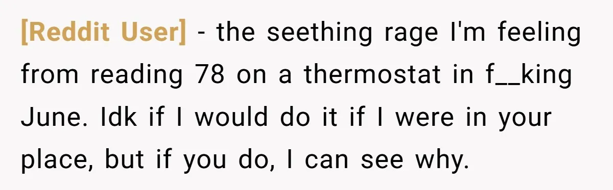 [Reddit User] − the seething rage I'm feeling from reading 78 on a thermostat in f__king June. Idk if I would do it if I were in your place, but...