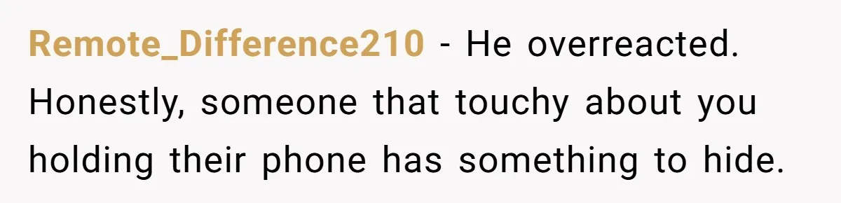 Remote_Difference210 - He overreacted. Honestly, someone that touchy about you holding their phone has something to hide.