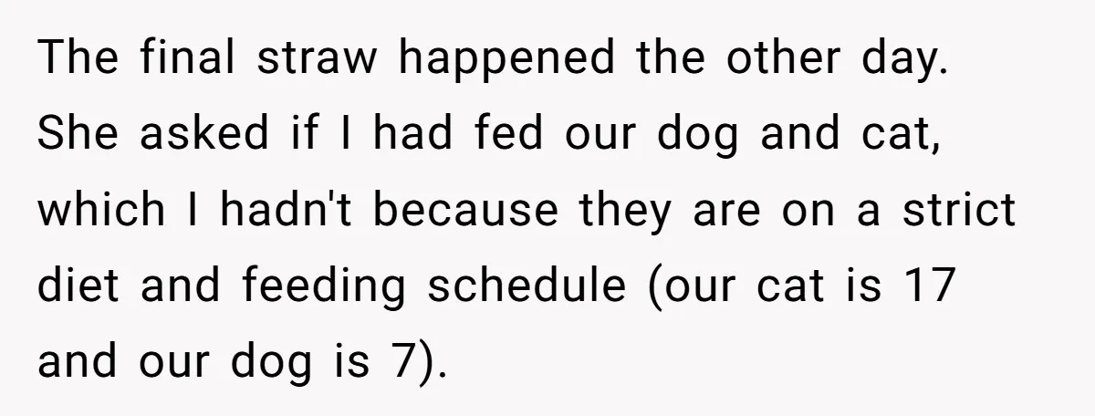 The final straw happened the other day. She asked if I had fed our dog and cat, which I hadn't because they are on a strict diet and feeding schedule...