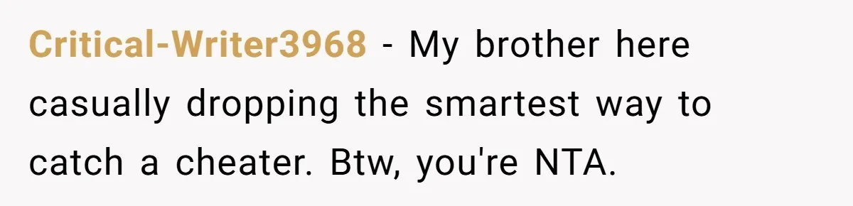 Critical-Writer3968 - My brother here casually dropping the smartest way to catch a cheater. Btw, you're NTA.
