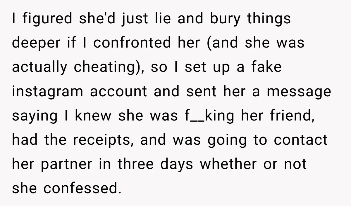 I figured she'd just lie and bury things deeper if I confronted her (and she was actually cheating), so I set up a fake instagram account and sent her a...