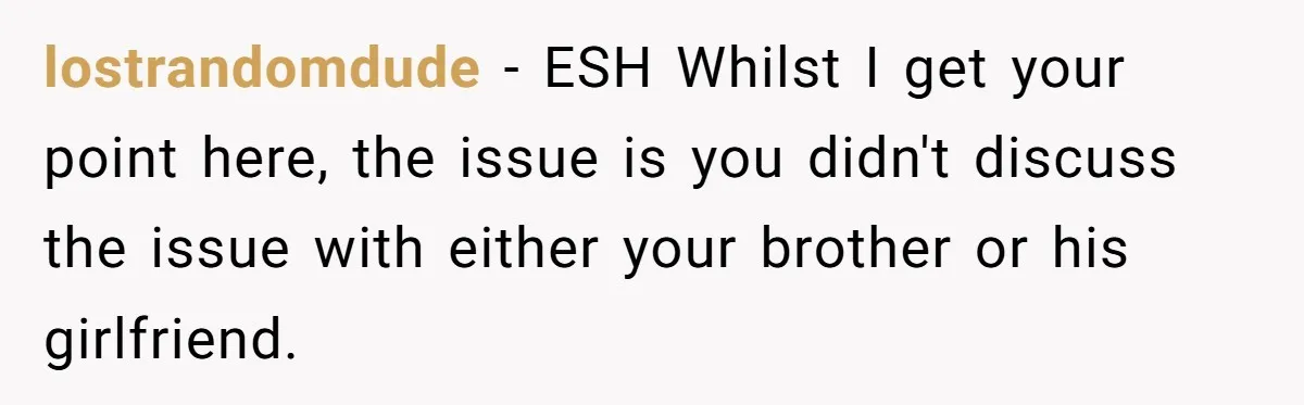lostrandomdude − ESH Whilst I get your point here, the issue is you didn't discuss the issue with either your brother or his girlfriend.