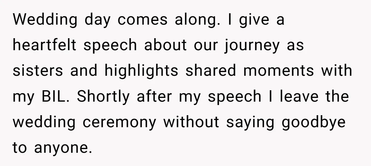 Wedding day comes along. I give a heartfelt speech about our journey as sisters and highlights shared moments with my BIL. Shortly after my speech I leave the wedding ceremony...