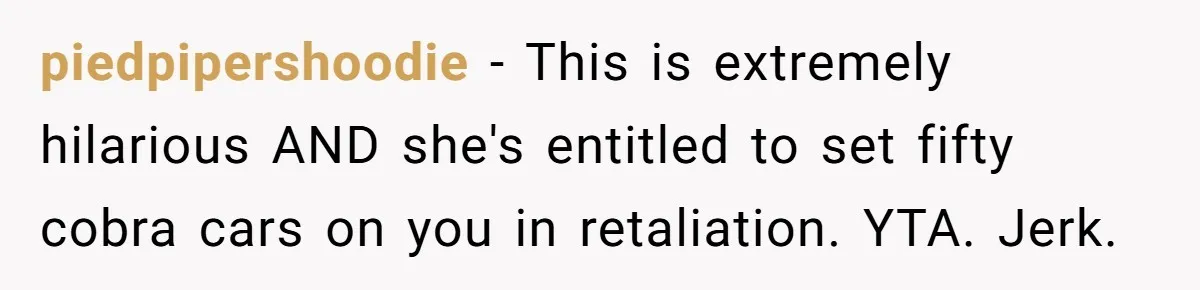piedpipershoodie − This is extremely hilarious AND she's entitled to set fifty cobra cars on you in retaliation. YTA. Jerk.