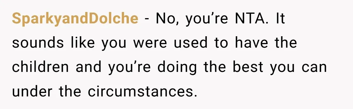 SparkyandDolche - No, you’re NTA. It sounds like you were used to have the children and you’re doing the best you can under the circumstances.