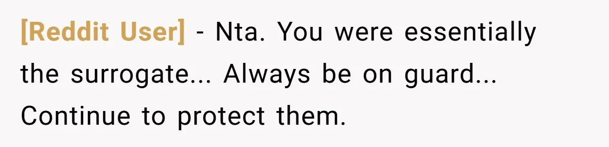 [Reddit User] - Nta. You were essentially the surrogate... Always be on guard... Continue to protect them.