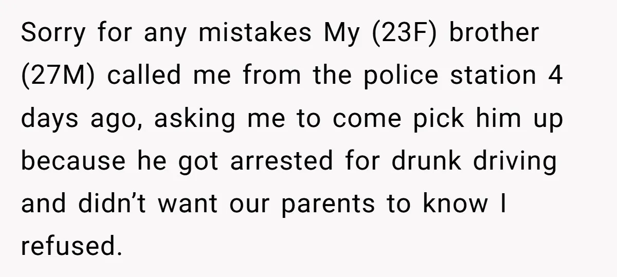 Sorry for any mistakes My (23F) brother (27M) called me from the police station 4 days ago, asking me to come pick him up because he got arrested for drunk...