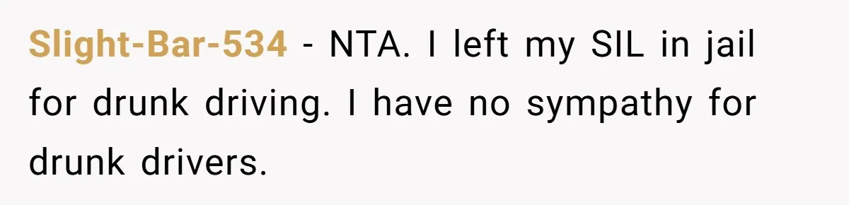 Slight-Bar-534 − NTA. I left my SIL in jail for drunk driving. I have no sympathy for drunk drivers.