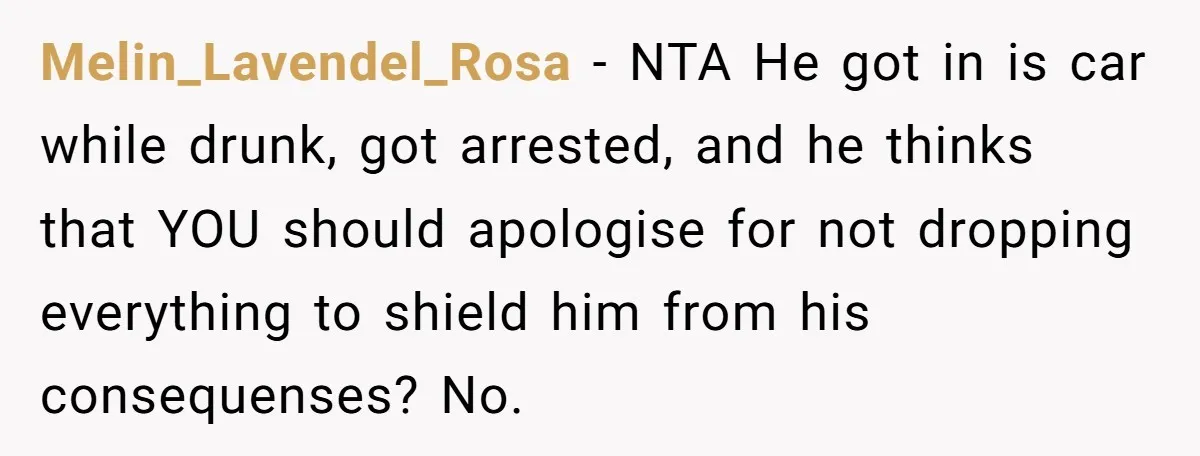 Melin_Lavendel_Rosa − NTA He got in is car while drunk, got arrested, and he thinks that YOU should apologise for not dropping everything to shield him from his consequenses? No.