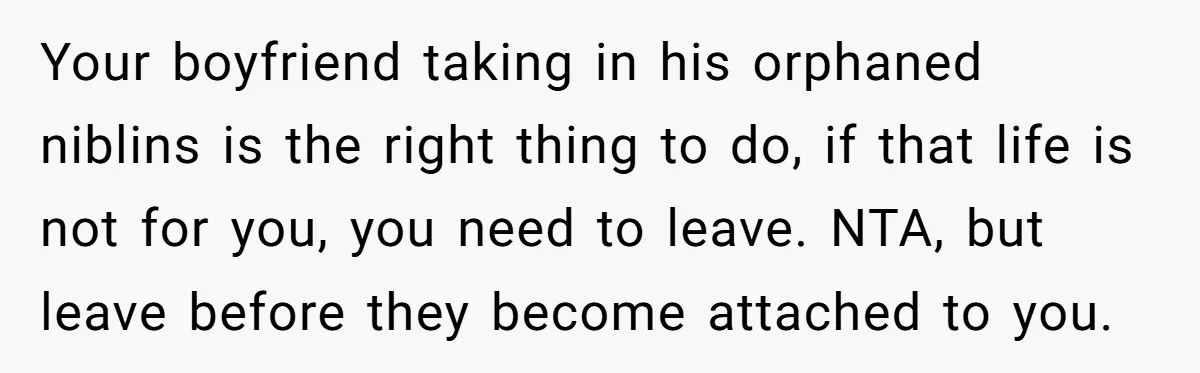 Your boyfriend taking in his orphaned niblins is the right thing to do, if that life is not for you, you need to leave. NTA, but leave before they become...