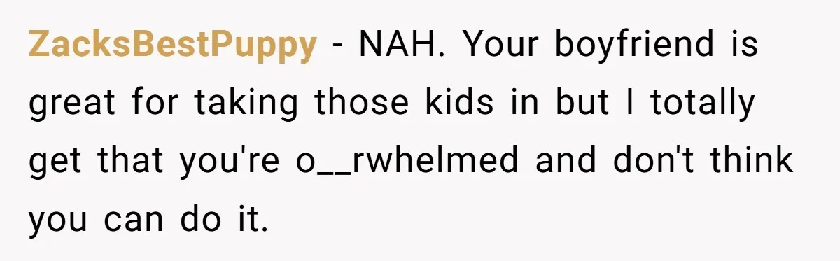 ZacksBestPuppy - NAH. Your boyfriend is great for taking those kids in but I totally get that you're o__rwhelmed and don't think you can do it.