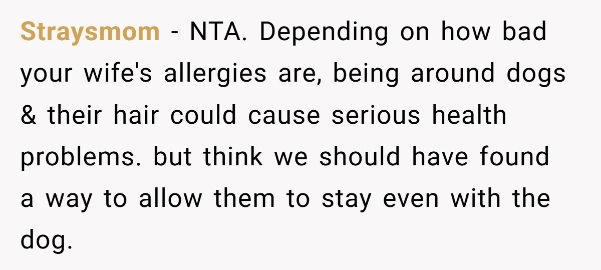 Straysmom − NTA. Depending on how bad your wife's allergies are, being around dogs & their hair could cause serious health problems. but think we should have found a way...