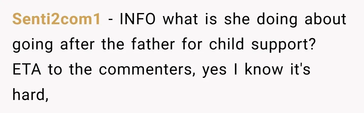 Senti2com1 − INFO what is she doing about going after the father for child support? ETA to the commenters, yes I know it's hard,