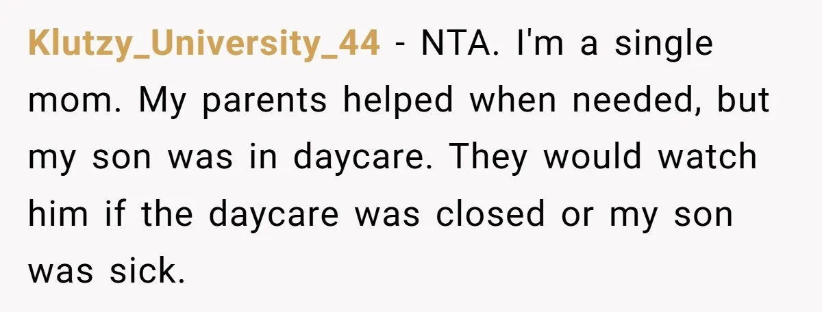 Klutzy_University_44 − NTA. I'm a single mom. My parents helped when needed, but my son was in daycare. They would watch him if the daycare was closed or my son...
