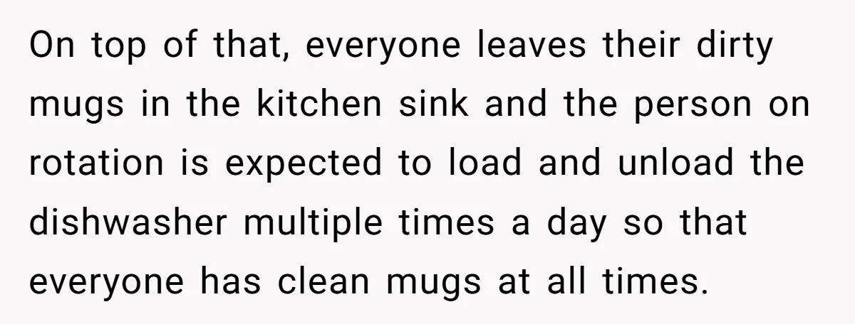 On top of that, everyone leaves their dirty mugs in the kitchen sink and the person on rotation is expected to load and unload the dishwasher multiple times a day...