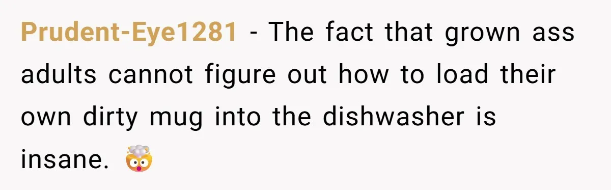 Prudent-Eye1281 − The fact that grown ass adults cannot figure out how to load their own dirty mug into the dishwasher is insane. 🤯