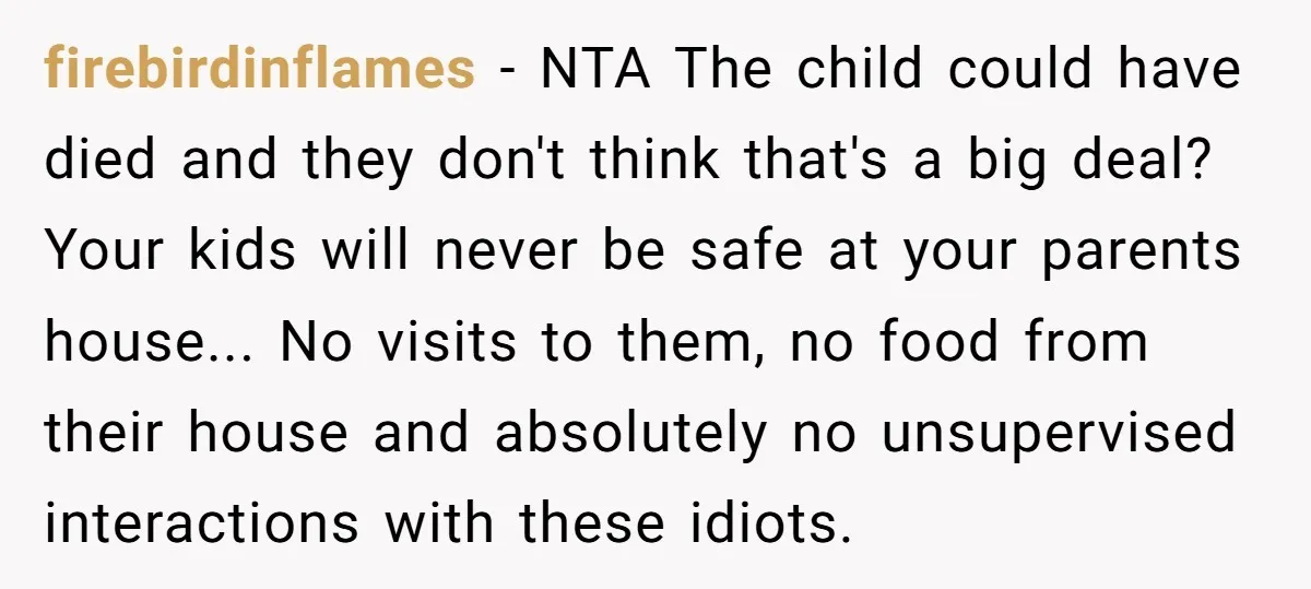 firebirdinflames − NTA The child could have died and they don't think that's a big deal? Your kids will never be safe at your parents house... No visits to them,...