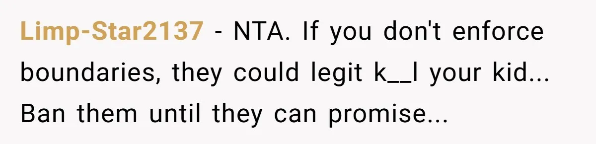 Limp-Star2137 − NTA. If you don't enforce boundaries, they could legit k__l your kid... Ban them until they can promise...