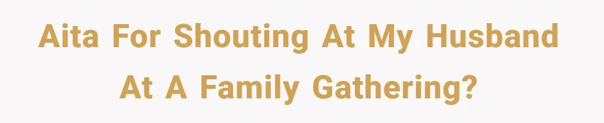 AITA for shouting at my husband at a family gathering?